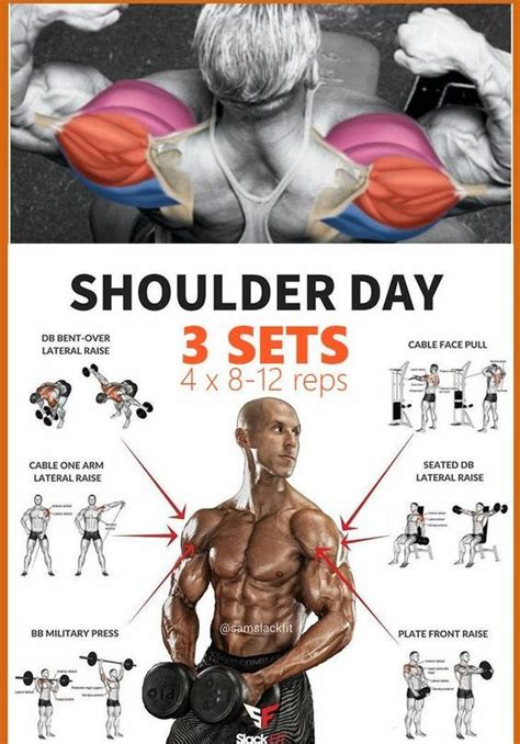 best reps for shoulder size